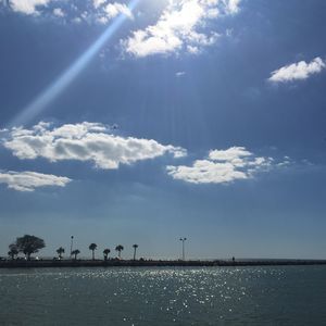 Meet your Posher, Ann